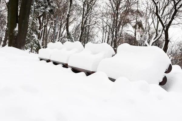 Снежная зима в парке — стоковое фото