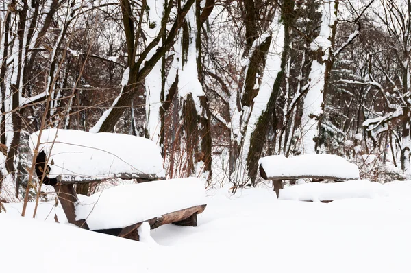 Inverno di neve in un parco — Foto Stock