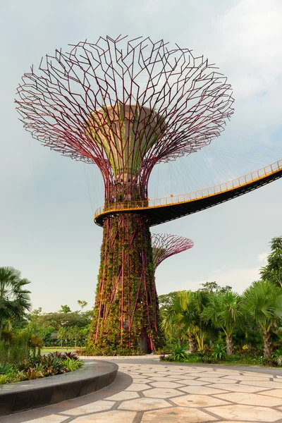 Súper árbol en Jardines cerca de la Bahía Singapur — Foto de Stock