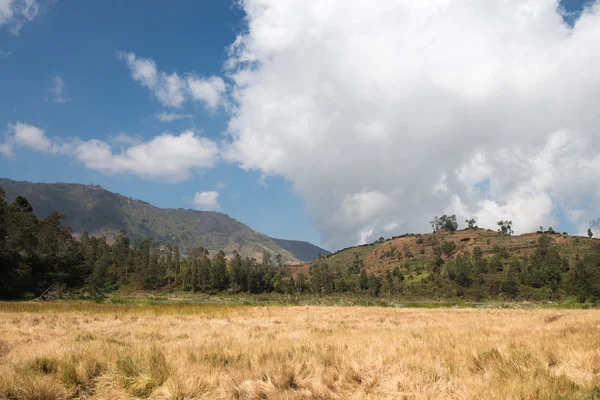 Lago de montanha seco — Fotografia de Stock