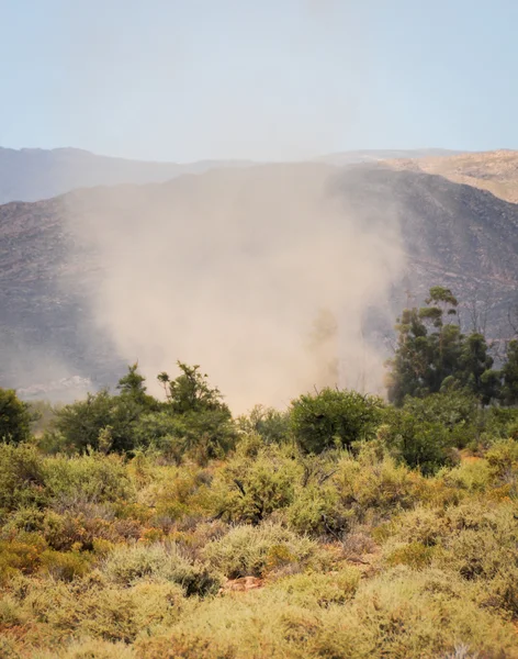 Tornado na savana arbusto — Fotografia de Stock