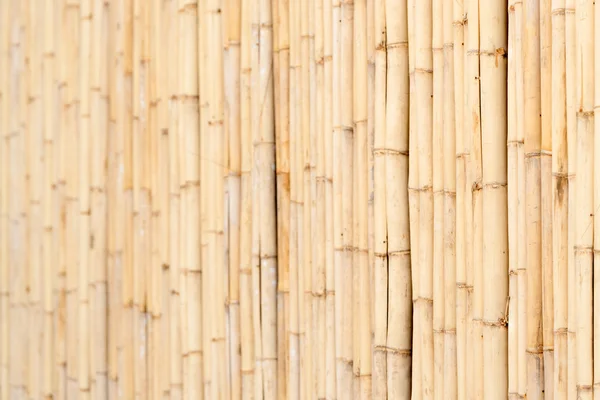 Wooden wall of bamboo close-up — Stock Photo, Image