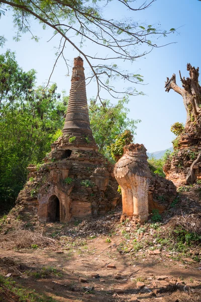 Leão em pagodes budistas birmaneses antigos — Fotografia de Stock