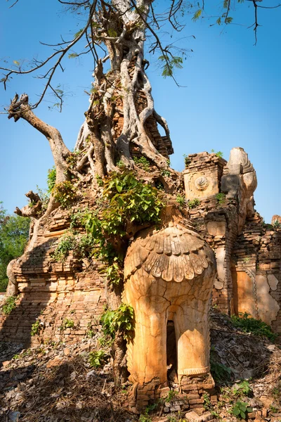 Antik Birmanya Budist pagodadan aslan — Stok fotoğraf