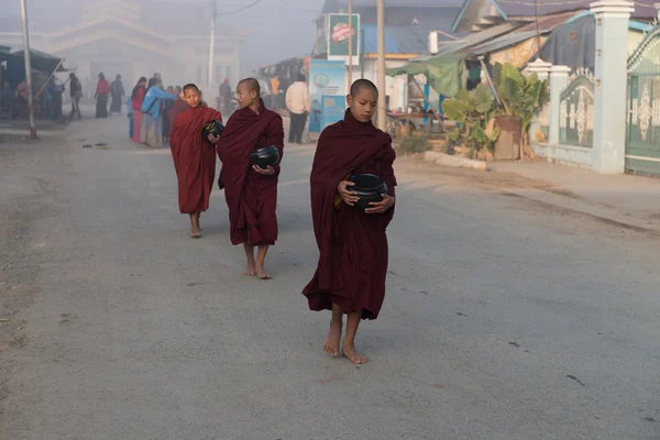 Young monks get food offerings in early morning — Stock Photo, Image