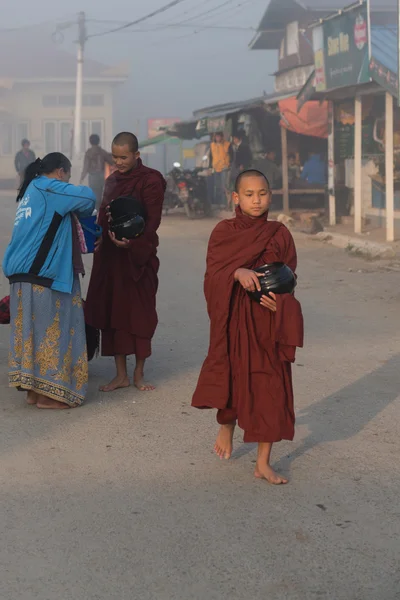 Young monks get food offerings in early morning — Stock Photo, Image