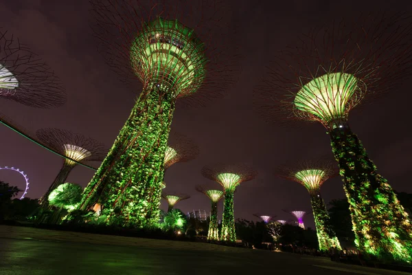 Nacht verlichting in tuinen langs de baai, singapore — Stockfoto