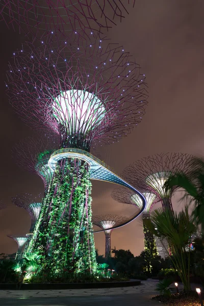 Nacht verlichting in tuinen langs de baai, singapore — Stockfoto
