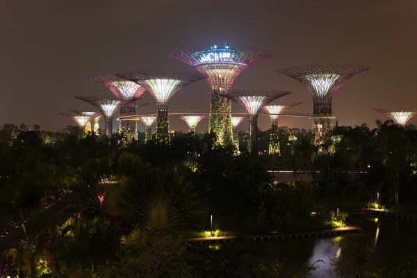 Gece Aydınlatma Gardens Körfez, Singapur — Stok fotoğraf