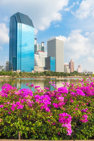 Fleurs roses et la ville moderne skyline du quartier des affaires vers le bas — Photo