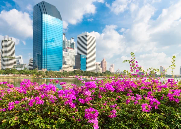 Rosa Blumen und moderne Stadtsilhouette des Geschäftsviertels — Stockfoto