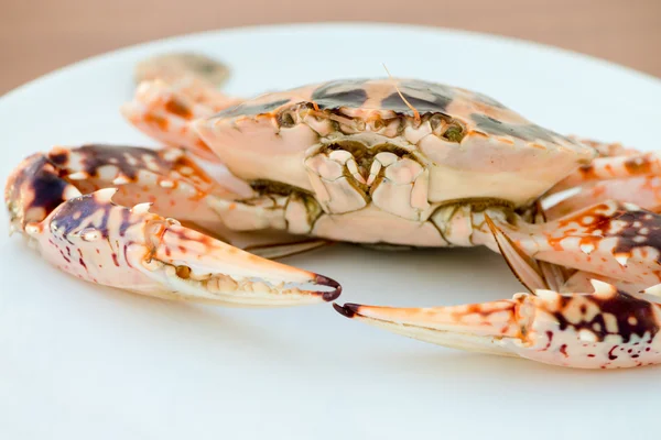 Store krabber på hvit plate – stockfoto