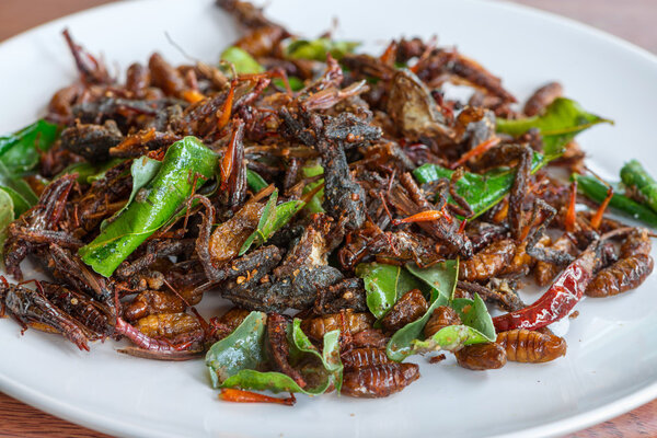 Fried edible insects mix on white plate 