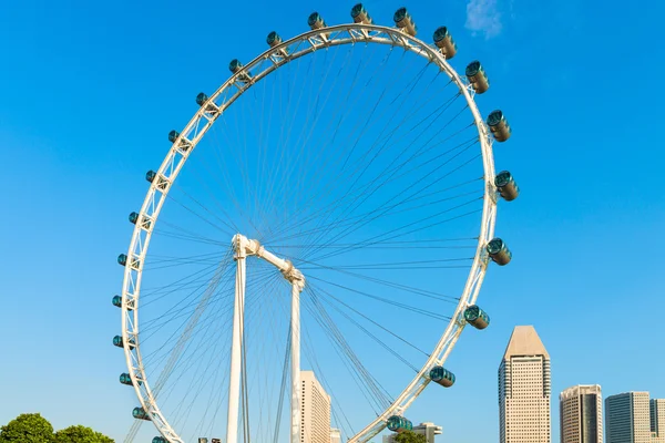 Giant Ferris wheel Singapore Flyer — Stock Photo, Image