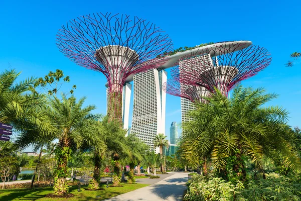 Marina bay sands and Supertrees at Gardens by the Bay. — Stock Photo, Image