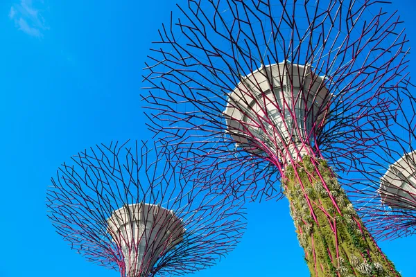 Supertrees op tuinen langs de baai, singapore — Stockfoto