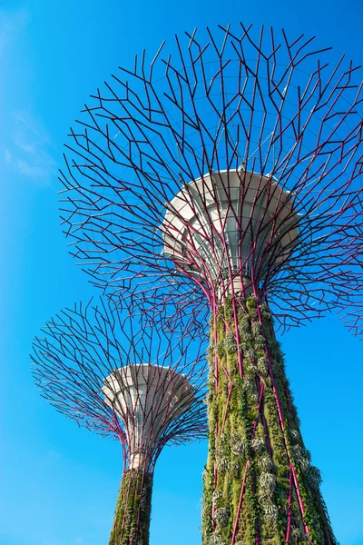 Супердеревья в Gardens by the Bay, SIngapore — стоковое фото