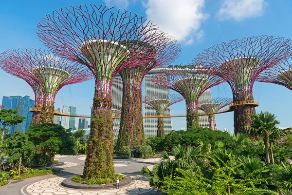 Superárvores em Jardins perto do Parque Bay, SIngapore — Fotografia de Stock