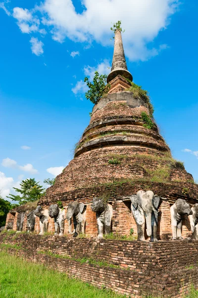 Sochy slonů na ruiny buddhistického chrámu. — Stock fotografie