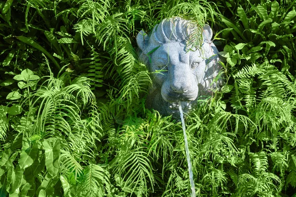 Cabeza de león de piedra con fuente en plantas verdes — Foto de Stock