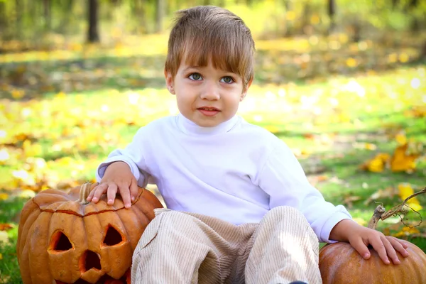 Portret van een kleine jongen met halloween pompoenen — Stockfoto