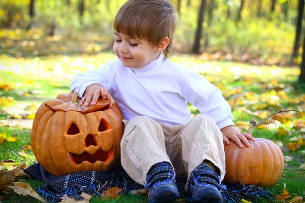 Retrato de un niño pequeño con calabazas de halloween — Foto de Stock
