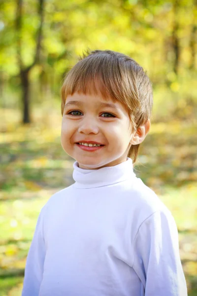 Portrait of a little boy in the woods — Stock Photo, Image