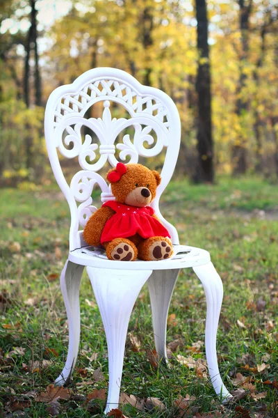 Teddy bear on a chair — Stock Photo, Image