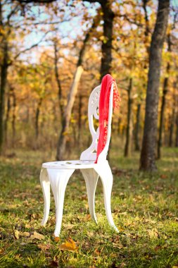 sonbahar ormanda beyaz sandalye
