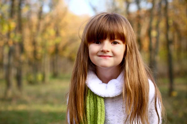 Portrait of little girl in the autumn forest — Stock Photo, Image