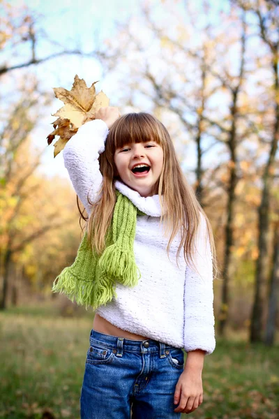 Девушка с букетом кленовых листьев на открытом воздухе — стоковое фото