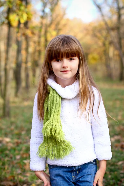 Κοριτσάκι στο φθινόπωρο ξύλο σε φόντο κίτρινο δέντρων — Φωτογραφία Αρχείου