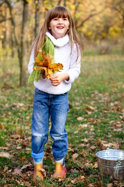 Little girl in the autumn forest with a bucket and maple lea — Stock Photo, Image
