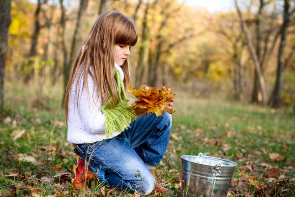 Menina séria na floresta de outono com folhas e um balde outdo — Fotografia de Stock