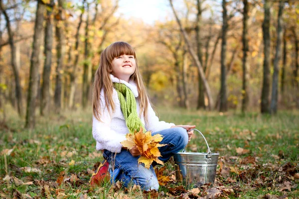 Yaprakları ve bir b ile sonbahar ormandaki küçük kız gülümseyerek — Stok fotoğraf