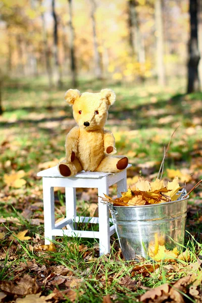 Teddy bear sitting on a chair, nearby is tin pail with leaves ou — Stock Photo, Image