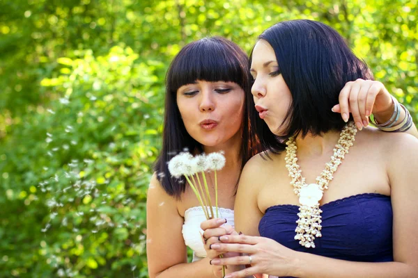 Дві привабливі жінки дме на кульбабу в парку — стокове фото