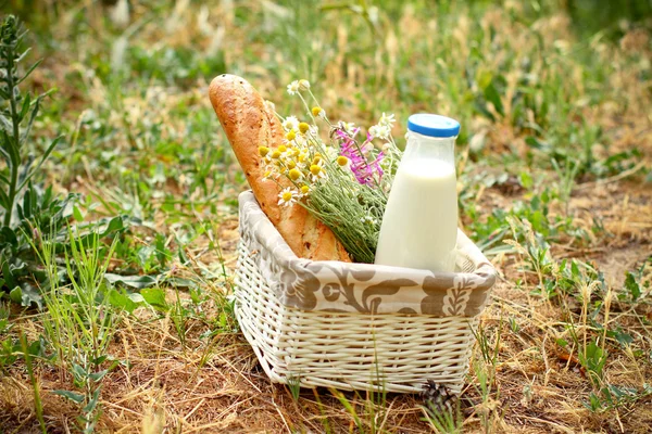 Cesto da picnic con margherite, pane e latte all'aperto — Foto Stock