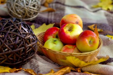 elma ve kareli ekose saman topları