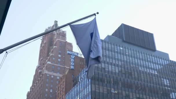 Σημαία Έδρα Pfizer Λογότυπο Στη Νέα Υόρκη Νέα Υόρκη — Αρχείο Βίντεο