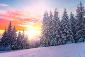 Téli táj egy naplemente. Bulgária
