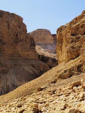 Judaean Desert, Israel