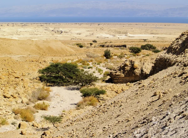 Judaean Desert and Dead Sea, Israel — Stock Photo, Image