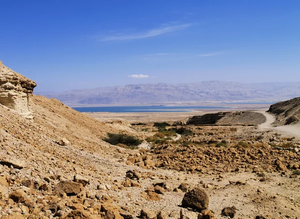 Salt on the Dead Sea Seashore — Stock Photo, Image