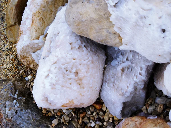 Salt on the Dead Sea Seashore — Stock Photo, Image