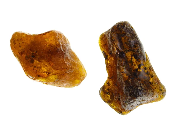 Amber. Menşei: Polonya — Stok fotoğraf