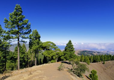 Gran canaria, Kanarya Adaları, İspanya