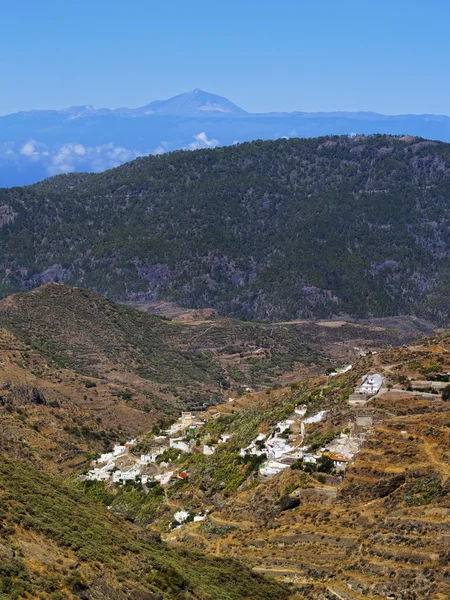 Gran canaria, Kanarya Adaları, İspanya — Stok fotoğraf