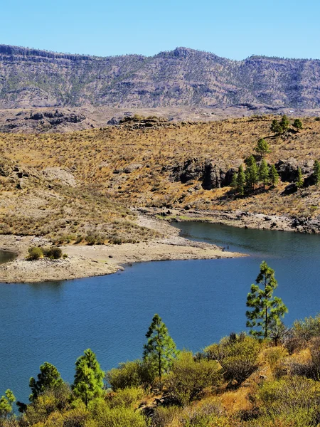 Presa de la cueva de las dziewczyn, gran canaria, Wyspy Kanaryjskie, Hiszpania — Zdjęcie stockowe