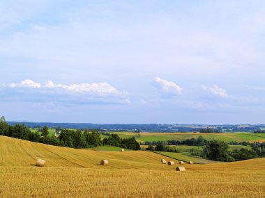 suwalszczyzna, Polonya